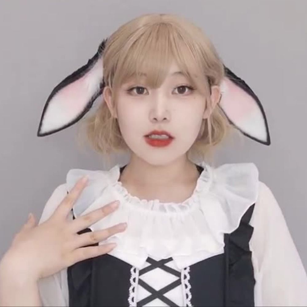 Anime Bunny Ears Dropped Ear R - Anime Cosplay Girl Photo recension och pris